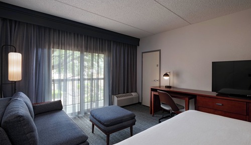 Room, 1 King Bed with Sofa bed