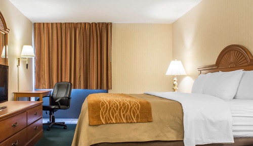 Standard Room, 1 King Bed, Non Smoking