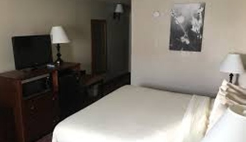 Standard Single Room, 2 Double Beds, Non Smoking