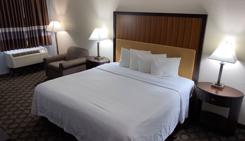 Standard Room, 1 King Bed, Non Smoking