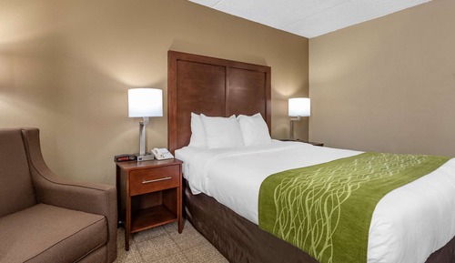 Standard Room, 1 Queen Bed, Non Smoking