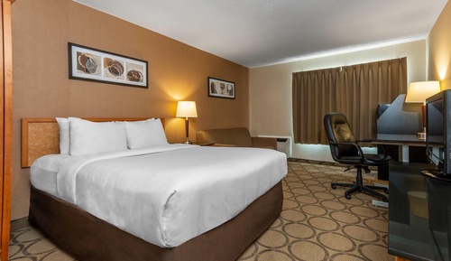 Standard Room, 1 Queen Bed with Sofa bed, Non Smoking, Ground Floor