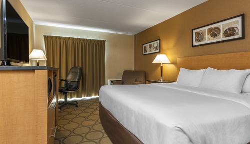 Room, 1 King Bed with Sofa bed, Non Smoking
