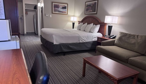 Business Room, 1 King Bed, Non Smoking