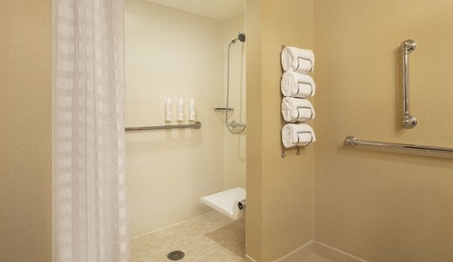 Room, 1 King Bed (Mobility Accessible, Roll-In Shower)