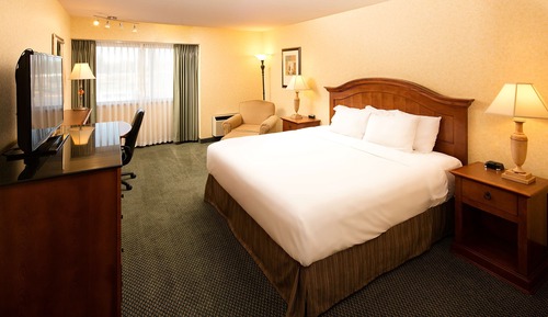 Room, 1 King Bed, Accessible