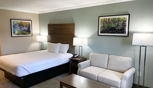 Premium Single Room, 1 Queen Bed, Ground Floor