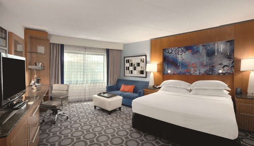 Standard Room, 1 King Bed with Sofa bed
