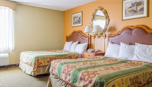 Basic Single Room