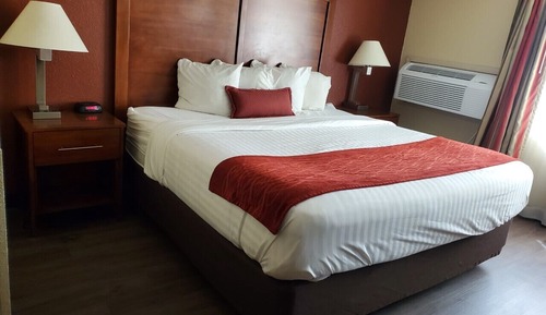 Room, 1 King Bed, Non Smoking