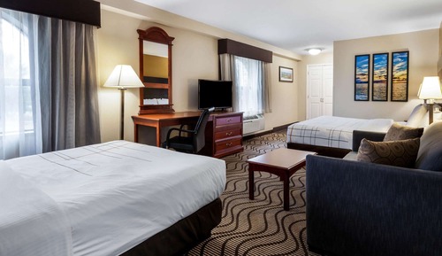 Studio Suite, Multiple Beds, Non Smoking