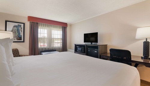 Standard Room, 1 King Bed, Accessible, Non Smoking