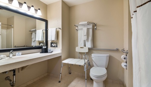 Standard Room, 1 King Bed, Accessible, Non Smoking (Walk-in Shower)