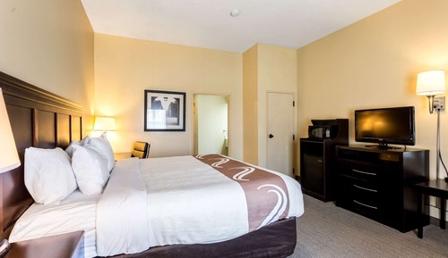 Standard Room, 1 King Bed, Non Smoking (2 person Whirlpool in Bath)
