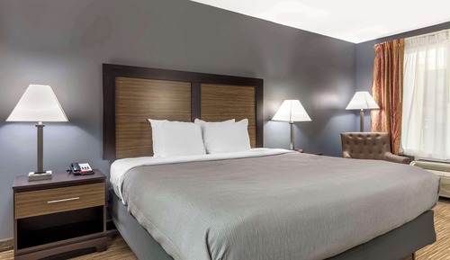 Standard Room, 1 King Bed, Non Smoking