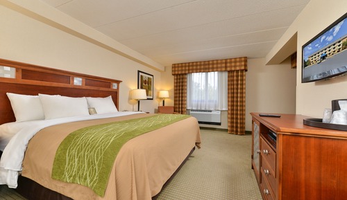 Standard Room, 1 King Bed, Non Smoking