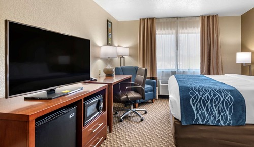 Standard Room, 1 King Bed, Non Smoking