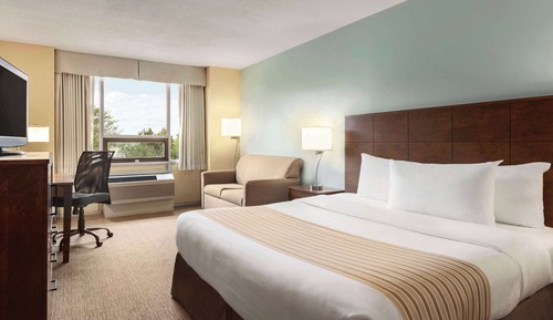 Room, 1 King Bed, Non Smoking