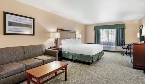 Standard Room, 1 King Bed, Non Smoking, Refrigerator & Microwave (with Sofabed)