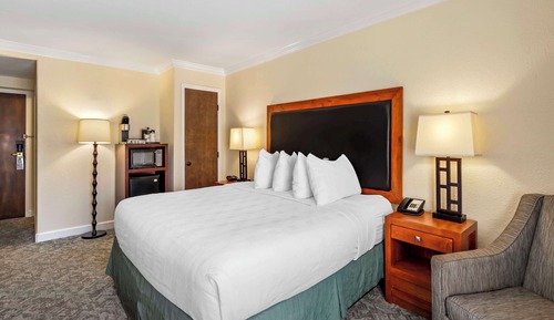 Standard Room, 1 King Bed, Non Smoking, Refrigerator & Microwave