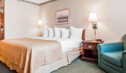 Standard Room, 1 King Bed, Non Smoking