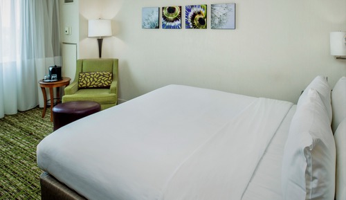 Room, 1 King Bed, Non Smoking (Mobility Accessible, Roll-in Shower)