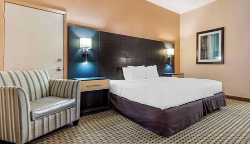 Standard Room, 1 King Bed, Non Smoking