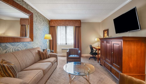 Suite, 1 King Bed with Sofa bed