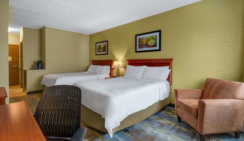 Room, 2 Queen Beds, Non Smoking (Dark Room, Pet Friendly)