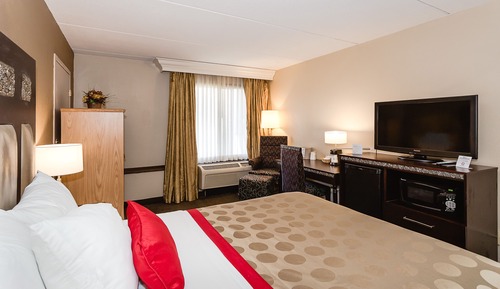 Room, 1 Queen Bed, Accessible, Non Smoking