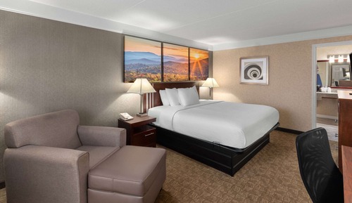Room, 1 King Bed, Accessible, Non Smoking (Mobility, Tub w/ Grab Bars)
