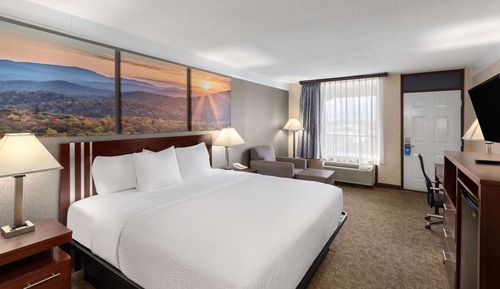 Room, 1 King Bed, Smoking