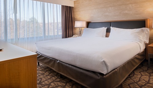 Standard Room, 1 King Bed, Accessible (Roll-In Shower)