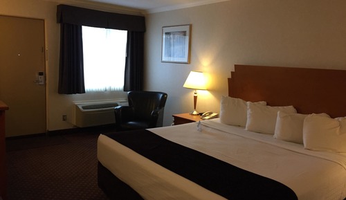 Standard Room, 1 King Bed, Non Smoking, Refrigerator