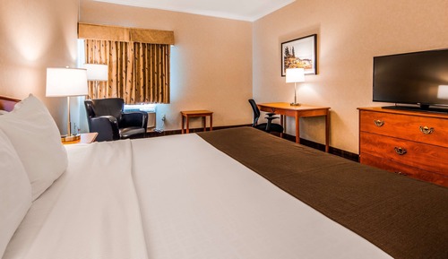 Business Room, 1 King Bed, Non Smoking, Refrigerator & Microwave