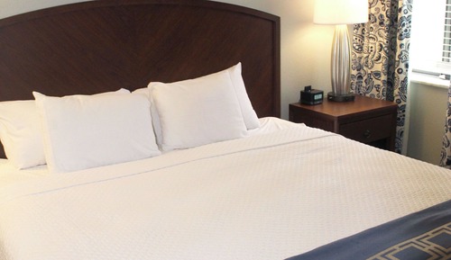 Suite, 1 King Bed (1 King)