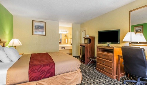 Room, 1 King Bed, Accessible, Smoking