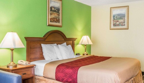 Standard Room, 1 King Bed, Non Smoking