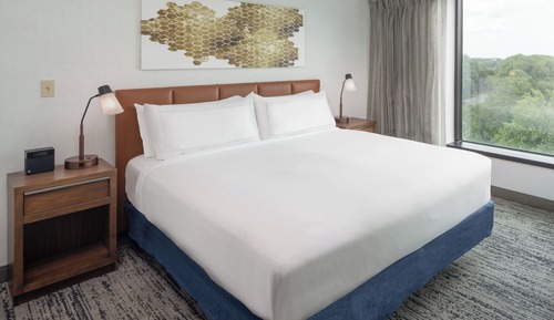 Room, 1 King Bed