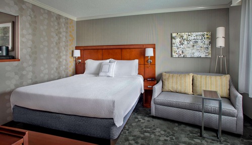 Room, 1 King Bed with Sofa bed