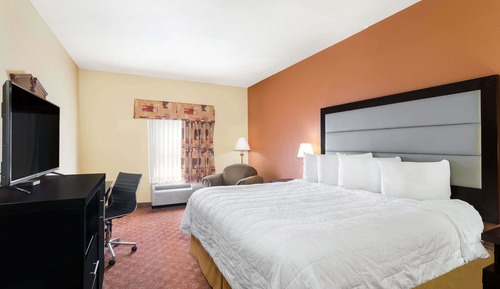 Room, 1 King Bed, Non Smoking