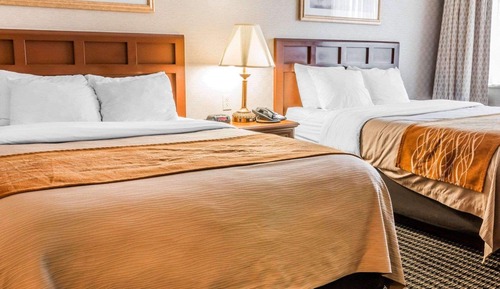 Standard Room, 2 Queen Beds, Non Smoking