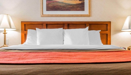 Standard Room, 1 King Bed, Non Smoking