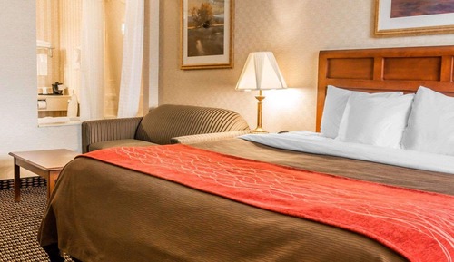 Standard Room, 1 King Bed, Non Smoking