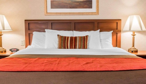 Standard Room, 1 King Bed with Sofa bed, Non Smoking