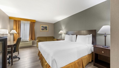 Standard Room, 1 King Bed, Non Smoking, Refrigerator & Microwave