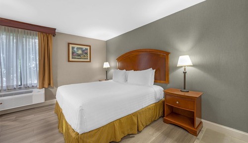 Standard Room, 1 King Bed, Non Smoking, Jetted Tub