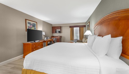 Standard Room, 1 King Bed, Non Smoking, Kitchenette (with Sofabed)