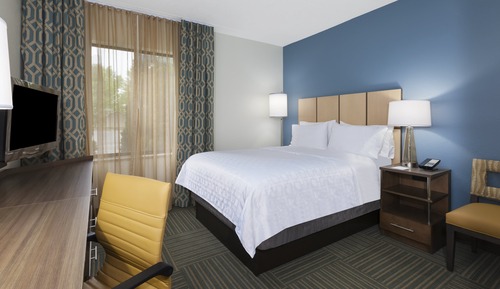 Studio Suite, 1 Queen Bed, Accessible (Communication, Transfer Shower)