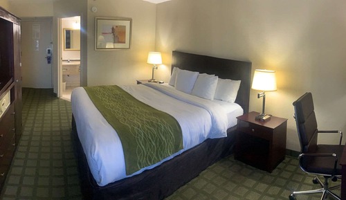 Standard Room, 1 King Bed, Non Smoking